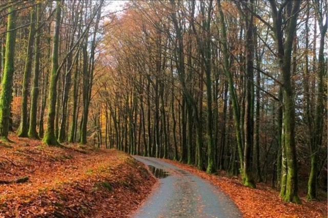 Tyn Y Simdde - Secluded Mountain Stay - Stunning Views Of Eryri 多尔盖罗 外观 照片