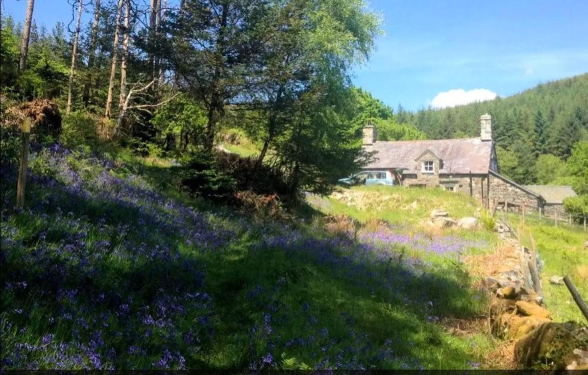 Tyn Y Simdde - Secluded Mountain Stay - Stunning Views Of Eryri 多尔盖罗 外观 照片