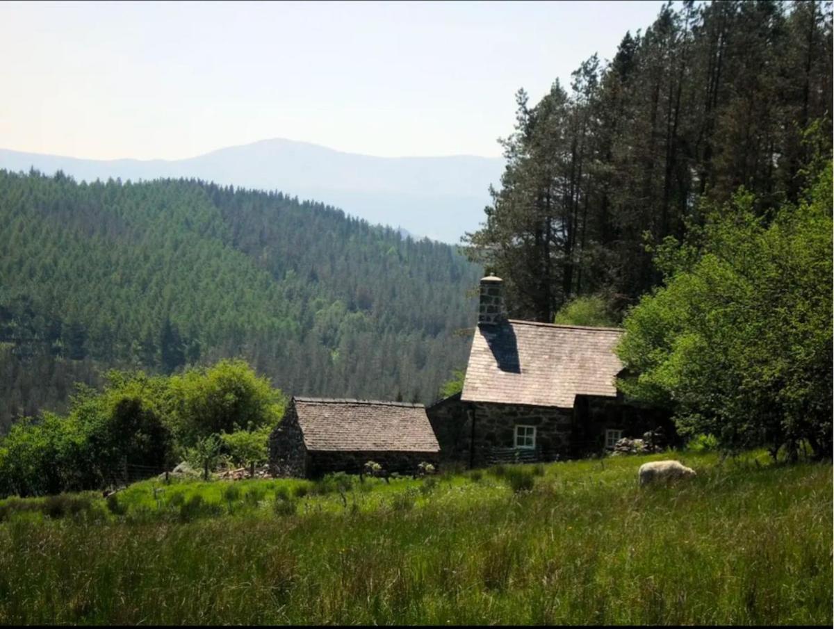 Tyn Y Simdde - Secluded Mountain Stay - Stunning Views Of Eryri 多尔盖罗 外观 照片