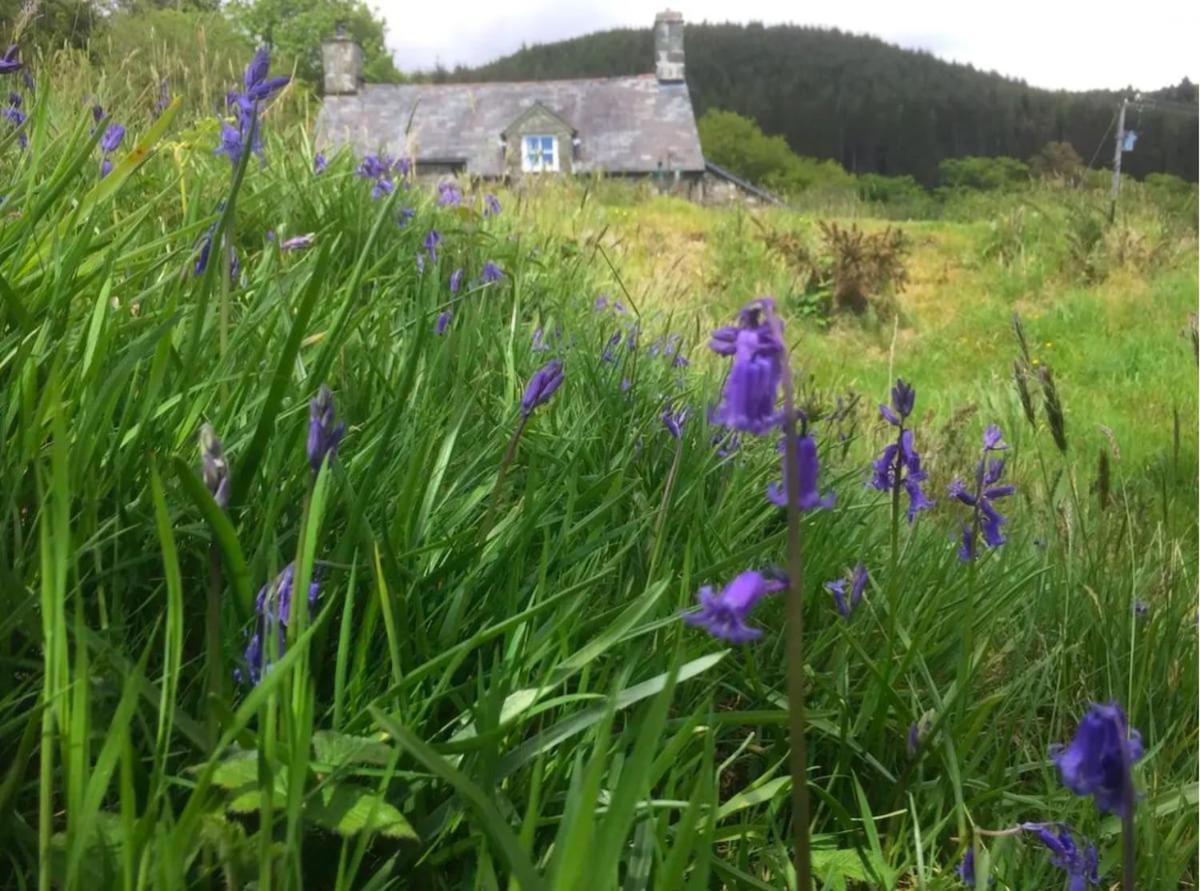 Tyn Y Simdde - Secluded Mountain Stay - Stunning Views Of Eryri 多尔盖罗 外观 照片